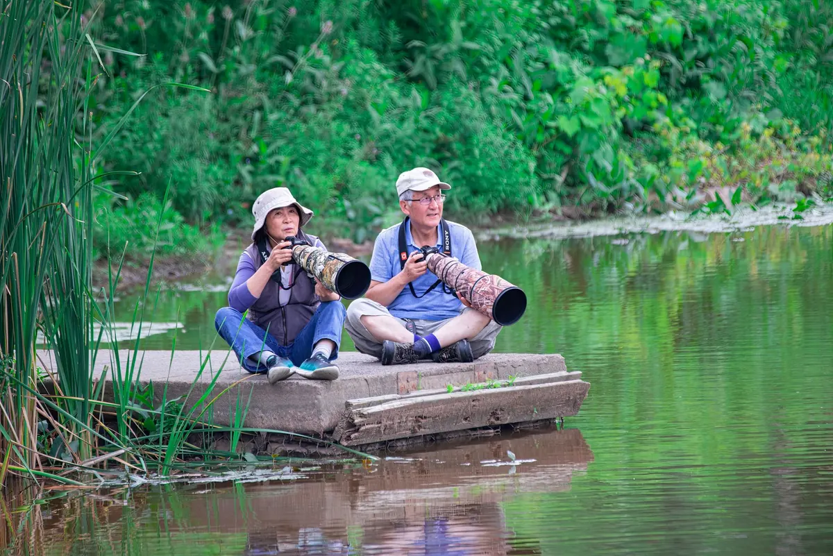 Heron Watching Checklist: 10 Essentials for a UK Wetland Walk
